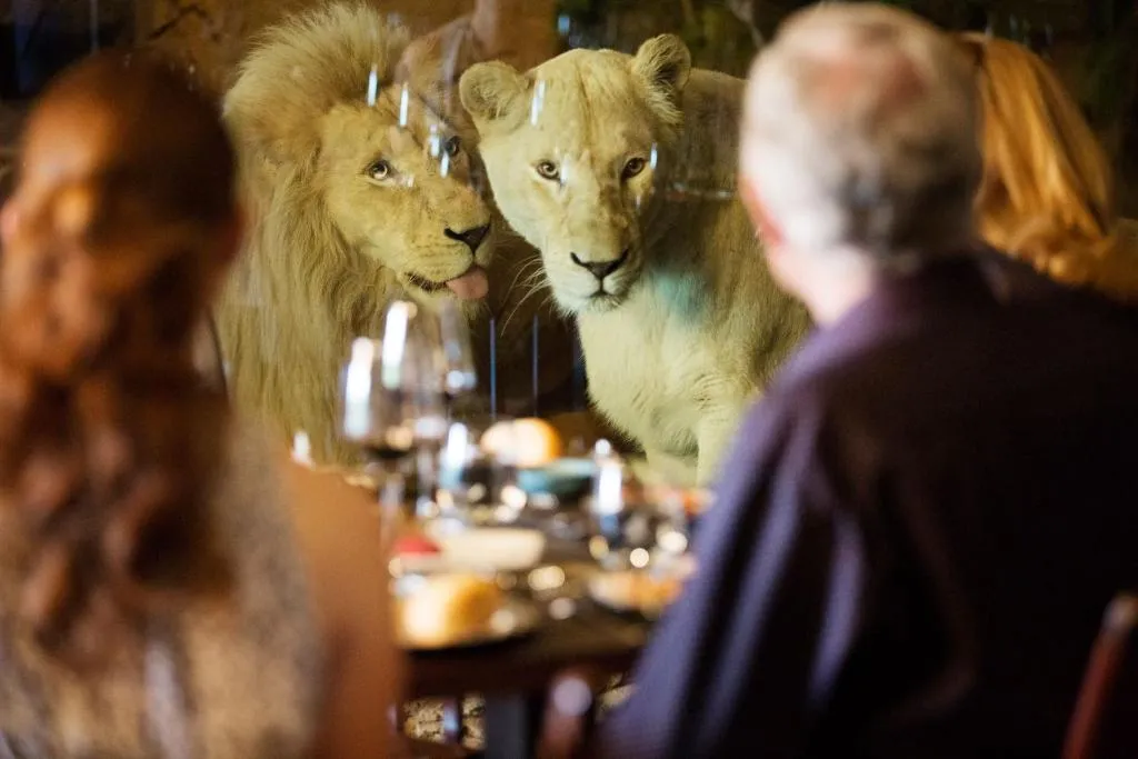 Image of Jamala Wildlife Lodge