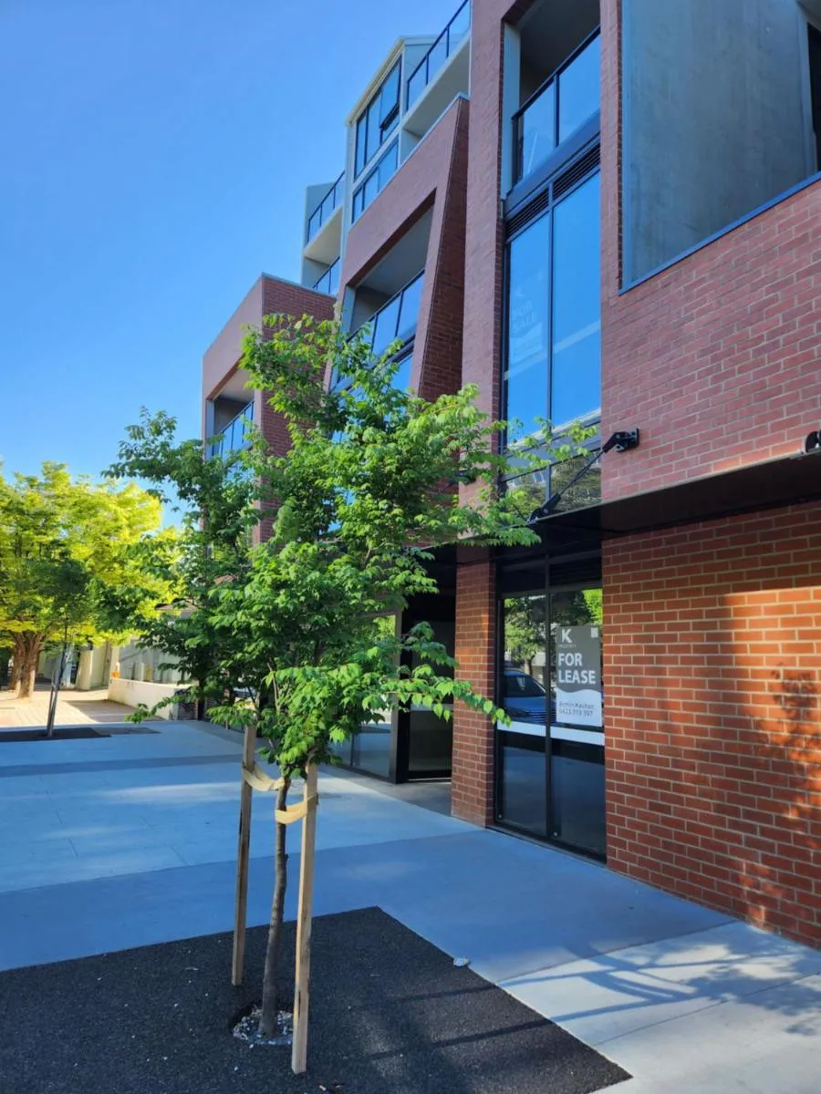 Image 5 of Home@Braddon